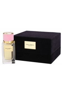 Obrázok pre Dolce & Gabbana Velvet Love