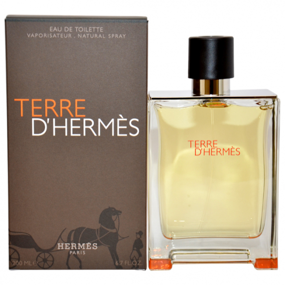 Obrázok pre Hermes Terre D´Hermes